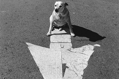 Page, Arizona, USA, 1998
