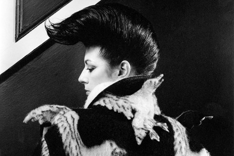 Fashion, Clothes, People, Pictures by Robert Mapplethorpe