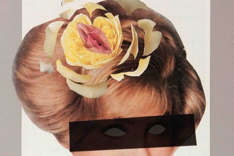Roses by Sadie Hennessy