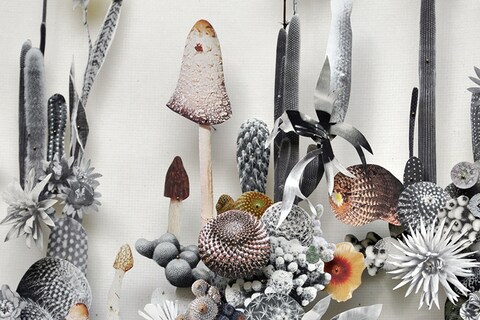 Flower construction #16 by Anne Ten Donkelaar