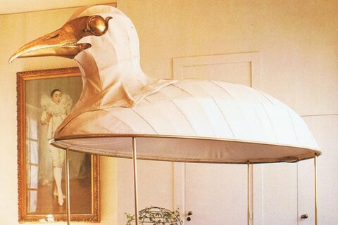 Bird Bed