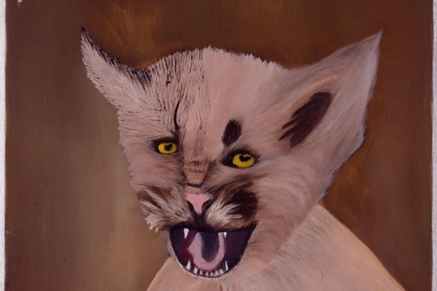 Pink Mountain Lion on Brown Background, Collection of Eric D
