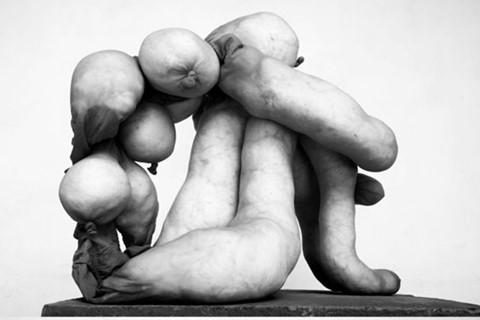 Work by Sarah Lucas, from Tittipussidad