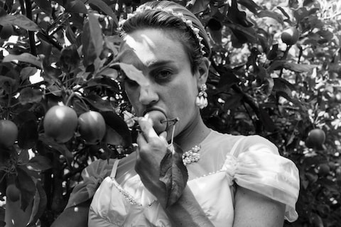 Echo: Wrapped in Memory MoMu