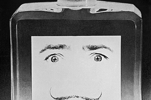Philippe Halsman, The Essence of Dali, 1954