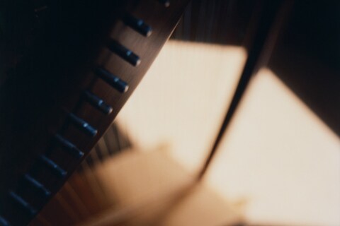 Dissonance by Senta Simond