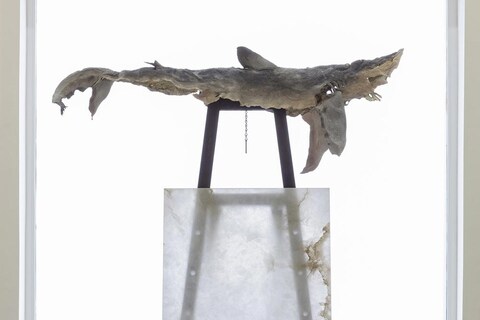 Dorothy-Cross,-Buoy,-2014