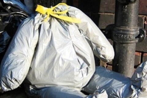 Bin Bag Bear