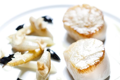 Scallops by Alain Ducasse