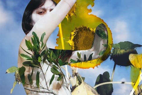 Modern Alchemy by Viviane Sassen and Emanuele Coccia 