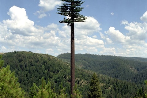 Robert Voit, Mono Lake, California, 2006
