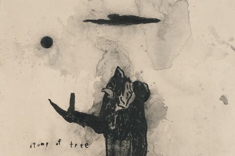 Stump of Tree, 2013