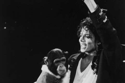Michael Jackson and Bubbles during the Bad tour