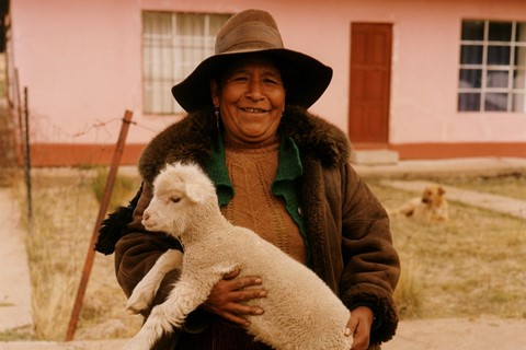 Andean Explorer, As Seen By Colin Dodgson