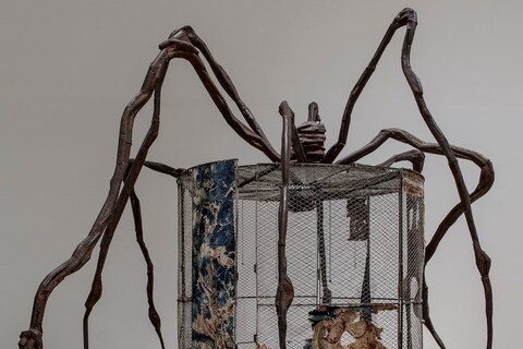 Louise Bourgeois: The Woven Child