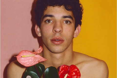 Walter Pfeiffer at The Swiss Institute