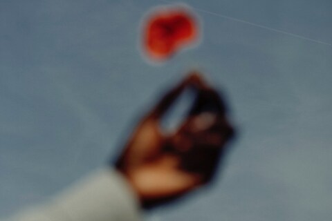 Thomas Goldblum_Poppy in the sky, Paris 2019-15