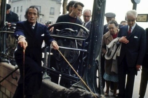 Salvador Dal&#237; &amp; Anteater