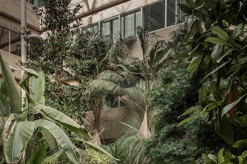 HMSO- Atrium - Norwich-0093