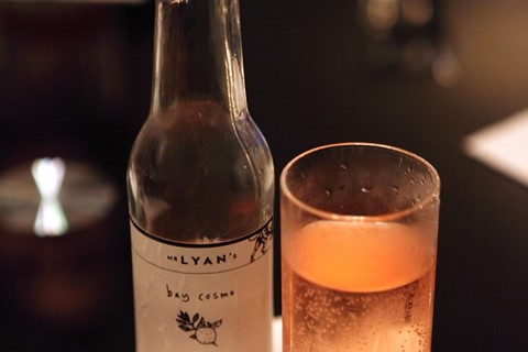 Bay Cosmo at the White Lyan