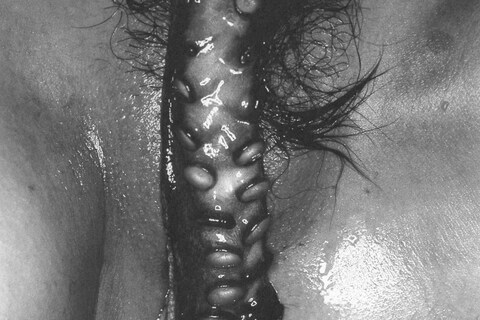 Sawatari Hajime Michael Hoppen Gallery