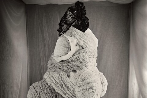 Paolo Roversi: Birds 