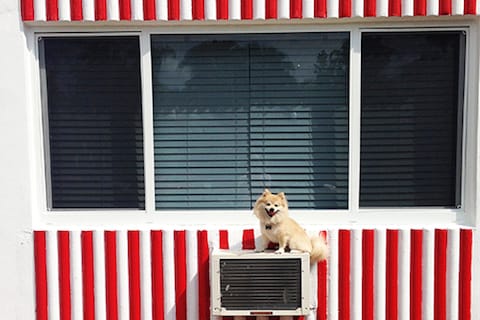 Tomas Werner Air Conditioner_low