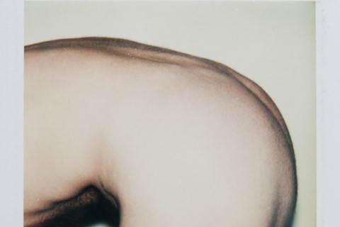Torso