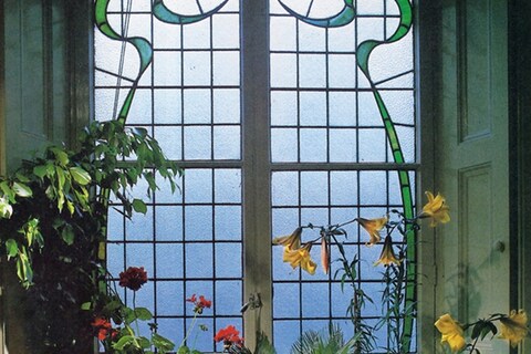 Success with House Plants, 1979