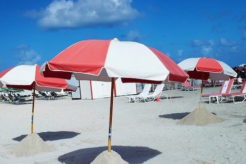 Pink at Miami Art Basel 2013