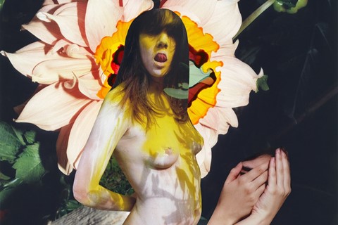 Modern Alchemy by Viviane Sassen and Emanuele Coccia 