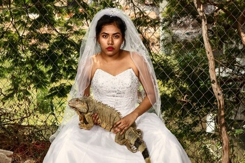 La Cucaracha book Pieter Hugo photographer Ted Stansfield