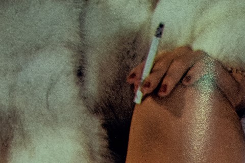 FURS by Jurgen Maelfeyt Art Paper Editions