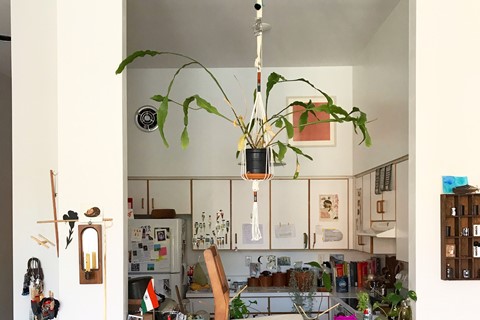 Pellavi Sen_installing orchid without ladder