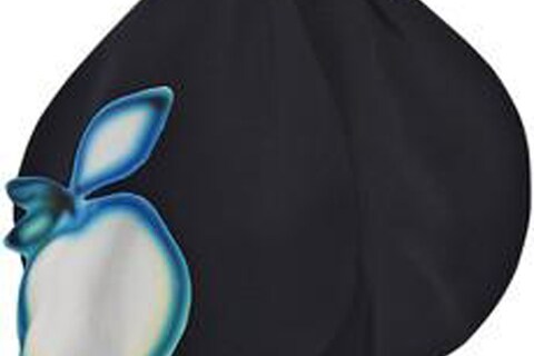 Apple-appliqu&#233; Silk Scarf by Miu Miu