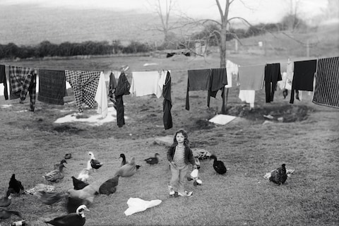 Art Work: On the Creative Life by Sally Mann