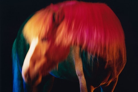 The Horses by Gareth McConnell