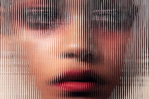 Dream of the Red Chamber