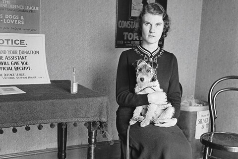 In the waiting room at the dog hospital, 1935