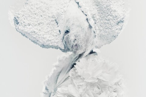 Paolo Roversi: Birds 