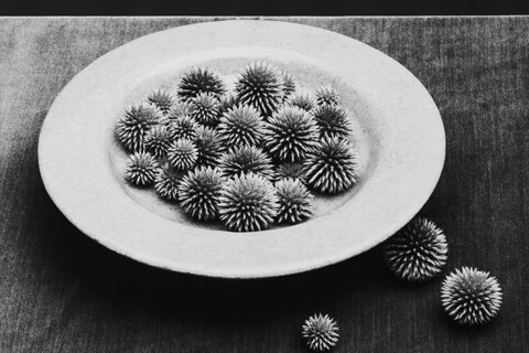 Robert Mapplethorpe: Subject Object Image