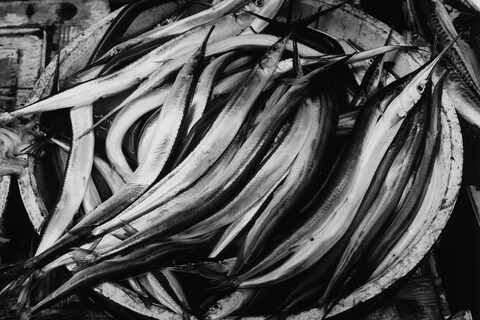 Performance and Portraiture: Italian Journeys by Peter Hujar