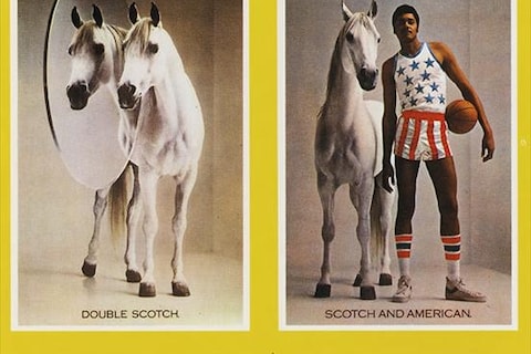 White Horse Distillers, 1979