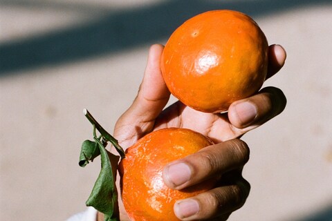 Alex-Free_From-Good-Seeds,-Good-Fruit,-2019