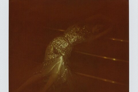 Sequinned tulle gown by Vionnet; slip dress (worn underneath