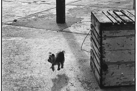 Ireland, Ballycotton, 1968
