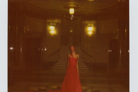 Floor length evening gown by Dior; Fabric stylist&#39;s own