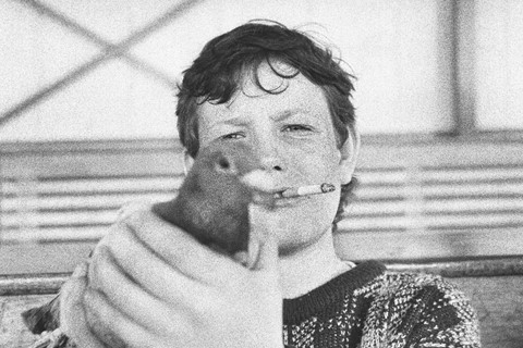 Seacombe Ferry Waiting Room (Caught pigeon), 1980&#39;
