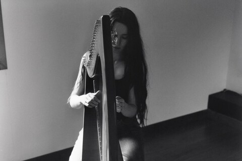 Dissonance by Senta Simond