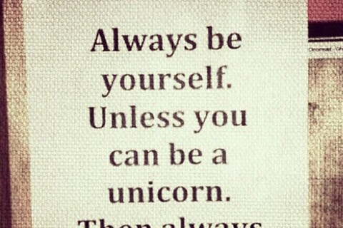 Courtesy of Put Your Paws Up